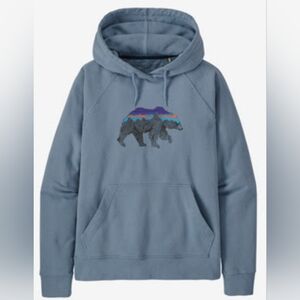 Patagonia Back For Good Organic Cotton Hoody